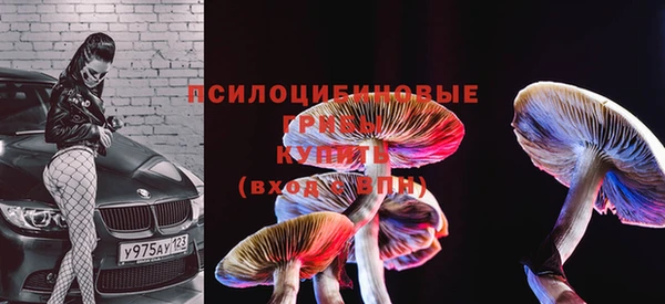 кокс Кинешма