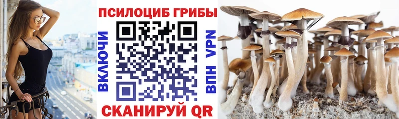 Псилоцибиновые грибы Magic Shrooms  Купить где  Салаир 